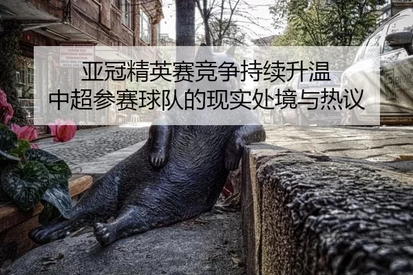 亚冠精英赛竞争持续升温 中超参赛球队的现实处境与热议 | c7